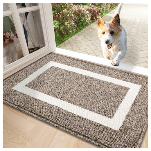 OLANLY Indoor Door Mat, 20x32, Non-Slip Absorbent Resist Dirt Entrance Mat, Washable Low-Profile Inside Entry Doormats for Entryway, Brown