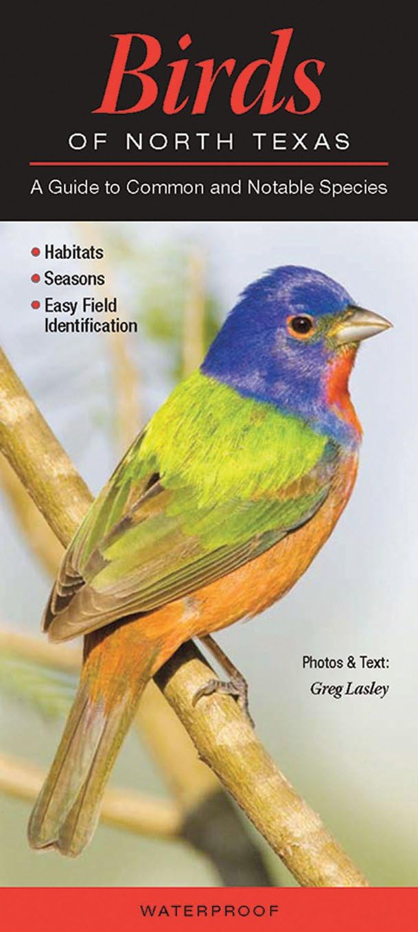 Birds of North Texas: A Guide to Common & Notable Species