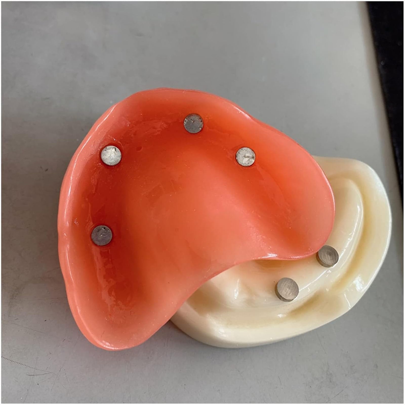 Modello di Protesi Dentale - Modello di Studio Modello di Denti per Impianto Ad Adsorbimento Magnetico per Protesi Completa - Modello Educativo per Denti Dentali - per L'