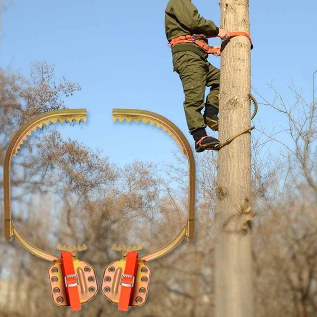 Sicherheitsgurt Klettergurt - Verstellbar 80-150cm Für Baumklettern & Bergsteigen