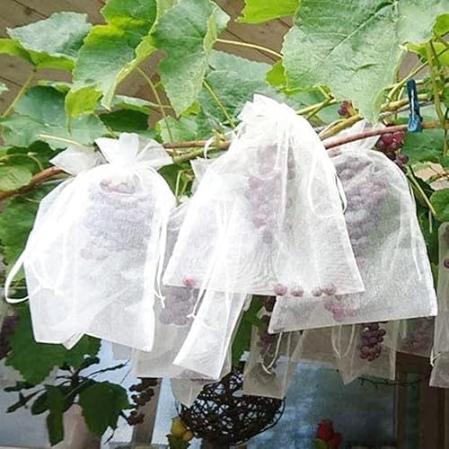 Miniatura 3 de Bolsas de protección de frutas de uvas, para jardín con cordón de malla, bolsas de malla de fresa y uva (color blanco, tamaño 7.9x11.8 in(100pcs))