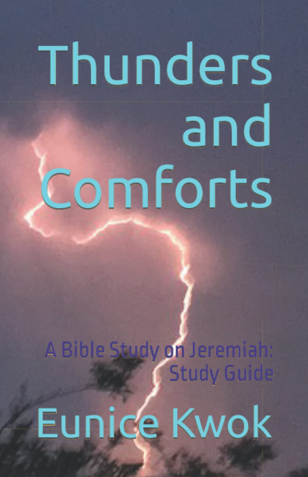 Thunders and Comforts: A Bible Study on Jeremiah: Study Guide