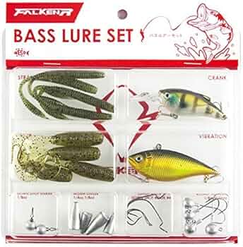 61kRieBM9zL._AC_UF350,