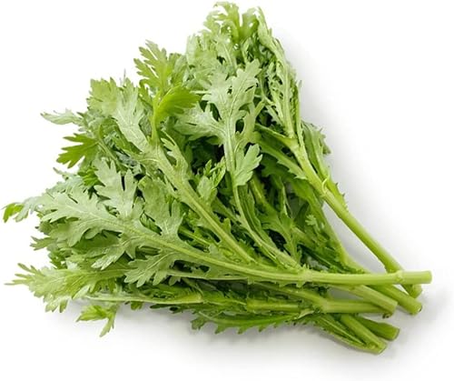 Miniatura 2 de 1000 semillas Crown Daisy - Rau Tan O - Guirnalda de verduras de crisantemo Chuleta de crisantemo Suey Green| Sin OMG | Orgánico | Heirloom