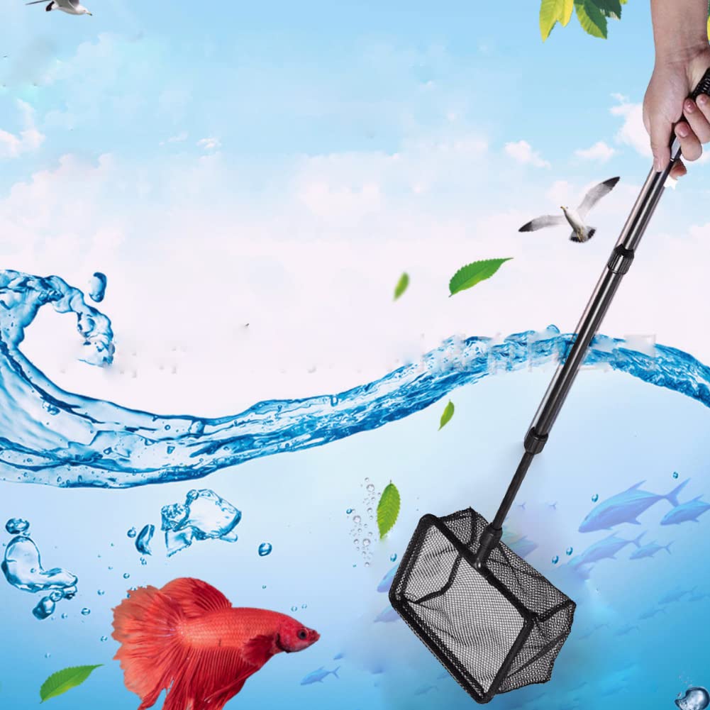 Small and Medium-Sized Fish Fishing Net Aquarium Fishing Nets and Shrimp fishing Small Tropical Fish Fishing Net Small and Medium-Sized Fish Fishing Net Aquarium Fishing Nets and Shrimp fishing Small Tropical Fish Fishing Net