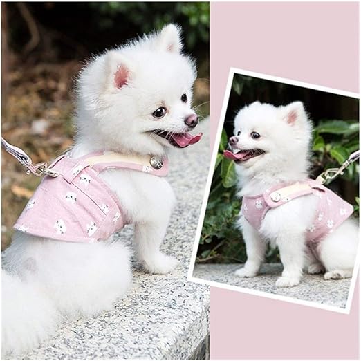 Amazon Co Jp Drspd 小型犬ポメラニアンペットベストハーネスロープかわいいペット犬ハーネスリーシュセットペットチェストストラップ通気性のドッグリーシュウォーキングロープ Color Pink Mesh Size Xxl ペット用品 Amazon Co Jp Drspd 小型犬ポメラニアンペットベストハーネスロープかわいいペット犬ハーネスリーシュセットペットチェストストラップ通気性のドッグリーシュウォーキングロープ Color Pink Mesh Size Xxl ペット用品