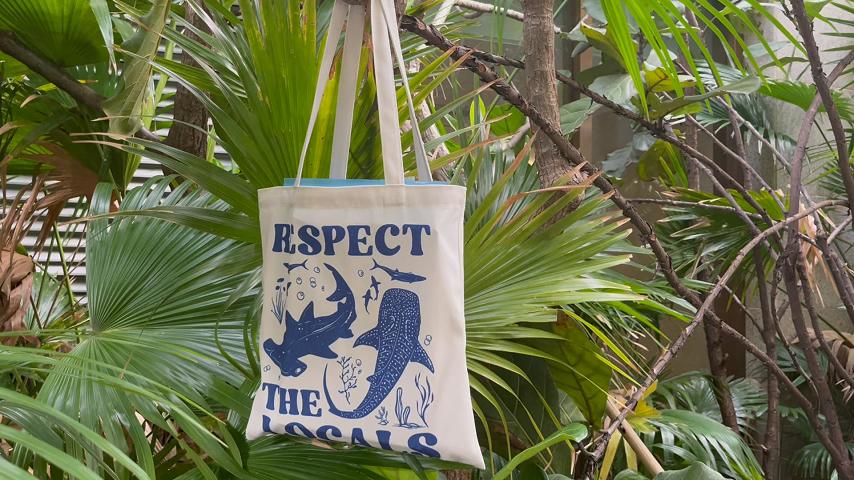 Bolso Tote Estético para Mujeres y Niñas miniatura 7