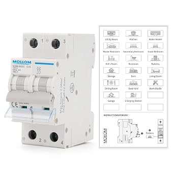 MOLLOM DC 2 Pole Miniature Circuit Breaker, 1000V 16Amps, C16 Scene Visualization Custom MCB Thermal Magnetic Trip, 6KA Breaking Capacity DC Disconnect Switch for Solar PV System