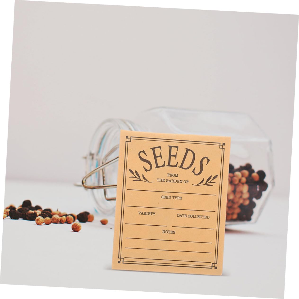 Wiederverwendbare Seed Münzumschläge aus Papier 100 Stück Khaki