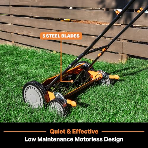Image of LawnMaster 20 inch 5-Blade Push Reel Lawn Mower - LMRM2001