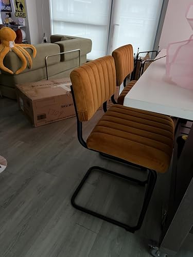 Review Image by Excellent