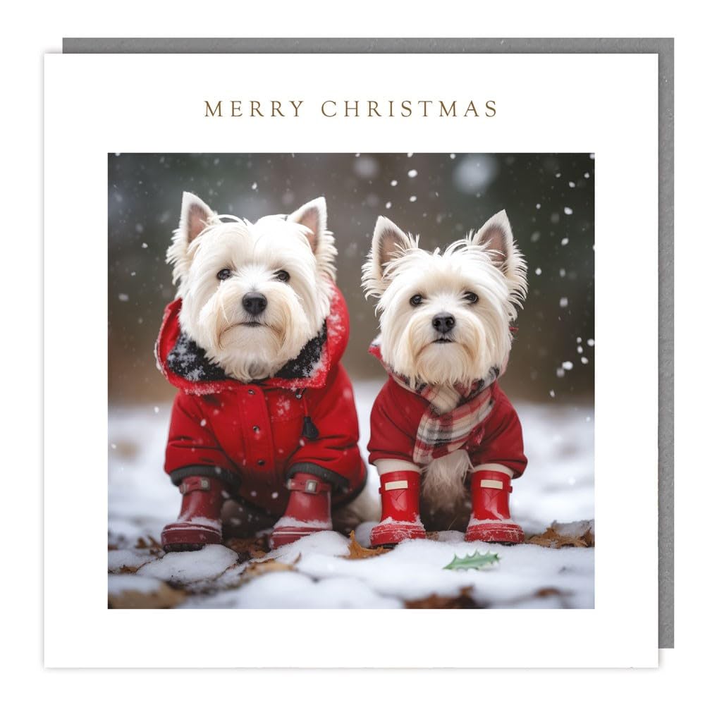 Tracks Publishing Charity Christmas Cards Pack of 5, Charity Christmas Cards with a Snowy Westie Dogs Design