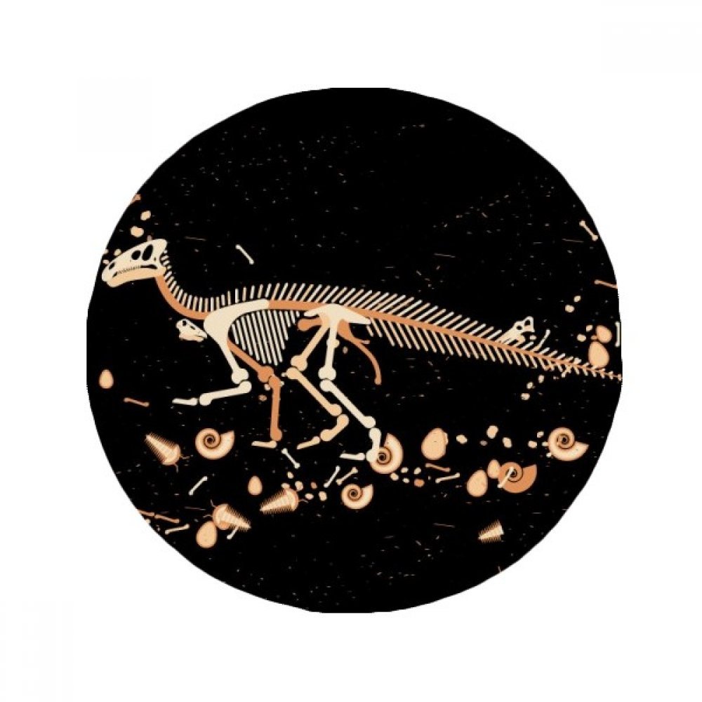 Tapis de sol antidérapant os de dinosaure rond pour sécuriser la salle de bain
