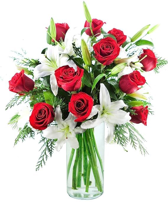 Amazon.com: KaBloom - Holiday Special Bouquet of Red Roses and White ...