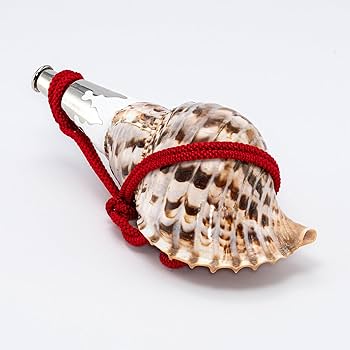 法螺貝３個セット Amazon.co.jp: 伊勢 - 宮忠 - 法螺貝 ほら貝 楽器 笛 歌口付き