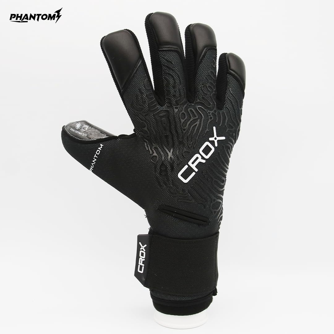 View 8