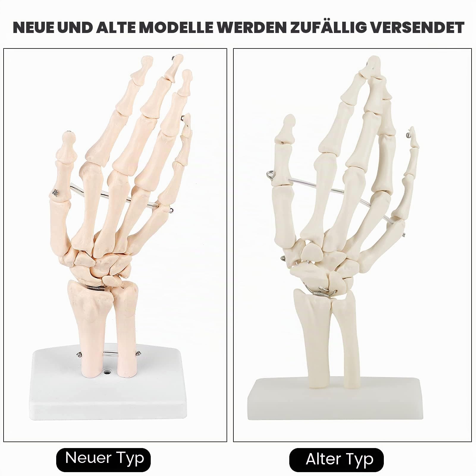 Walfront Skelettmodell für menschliche Hand und Handgelenk, medizinisch-anatomisches 1: 1-Skelettmodell für menschliche Handgelenkstudien für Schulen Krankenhauslaborausrüstung