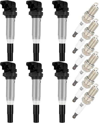 Miniatura 1 de SELEAD 6 bobinas de encendido con 6 bujías de iridio 128i 135i 335i 325i 328i 330i E60 M5 525xi 528i N54 X3 X5 X6 Z4 2003-2016 12137562744 37571 643