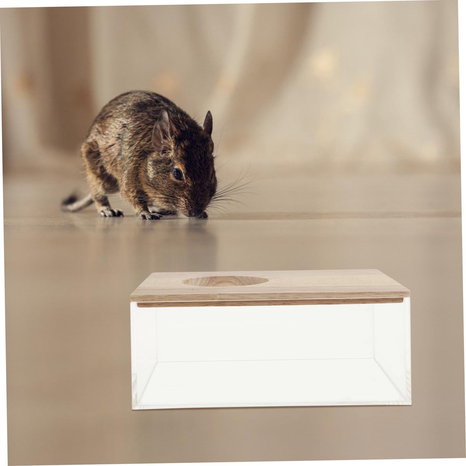 Happyyami Transparente Sandbadbox für Kleine Haustiere und Hamster aus Acryl Sicher zum Spielen und Baden Verhindert Sandverlust für Zuhause und Zoohandlung