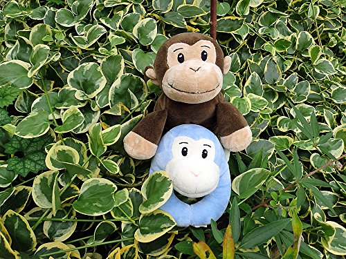 ẑ KK ʂ Ԃ񂾂MtgZbg2g 