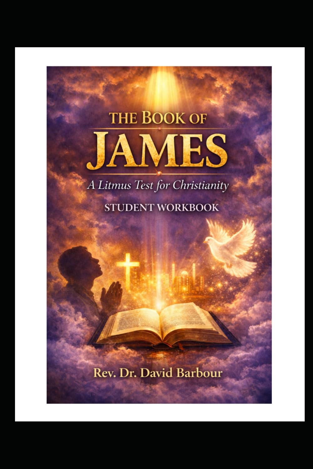 The Book of James: A Litmus Test for Christianity: A Student Workbook for Bible Study and Discipleship (Faith That Works: The Epistle of James Study Series)