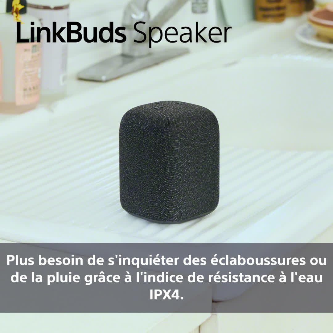 Sony Enceinte LinkBuds - Enceinte Portable sans Fil Bluetooth, IPX4, Résistante à l'eau, Batterie de 25 Heures, Qualité d'Appel Clair, Outdoor, Voyage - Noir