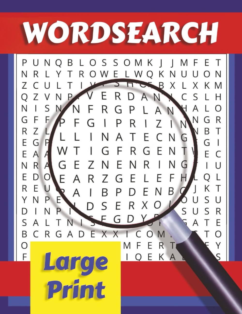 Large Print Wordsearch Puzzle Book: Ideal for seniors and those with sight issues