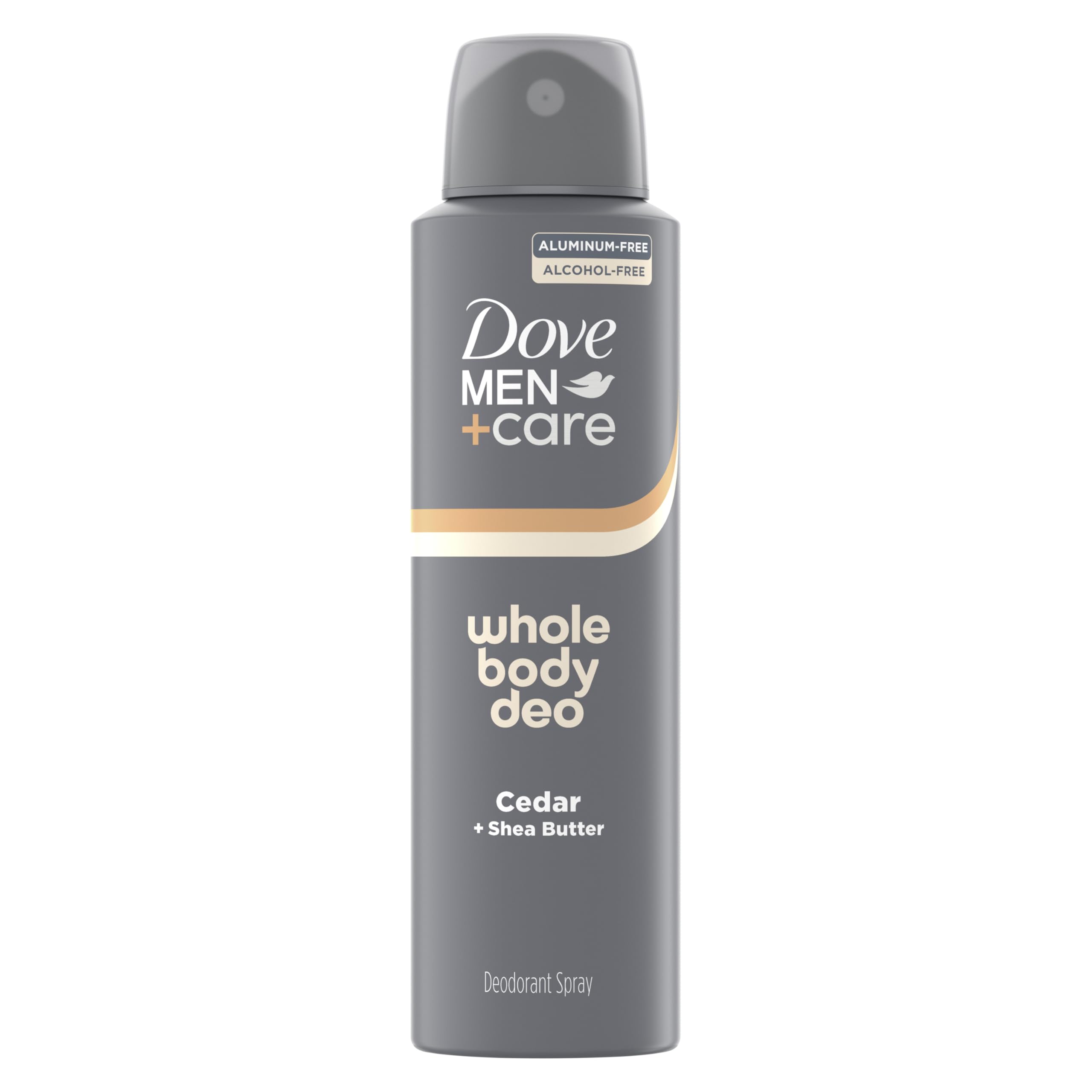 DOVE MEN+ CARE Whole Body Deo Spray