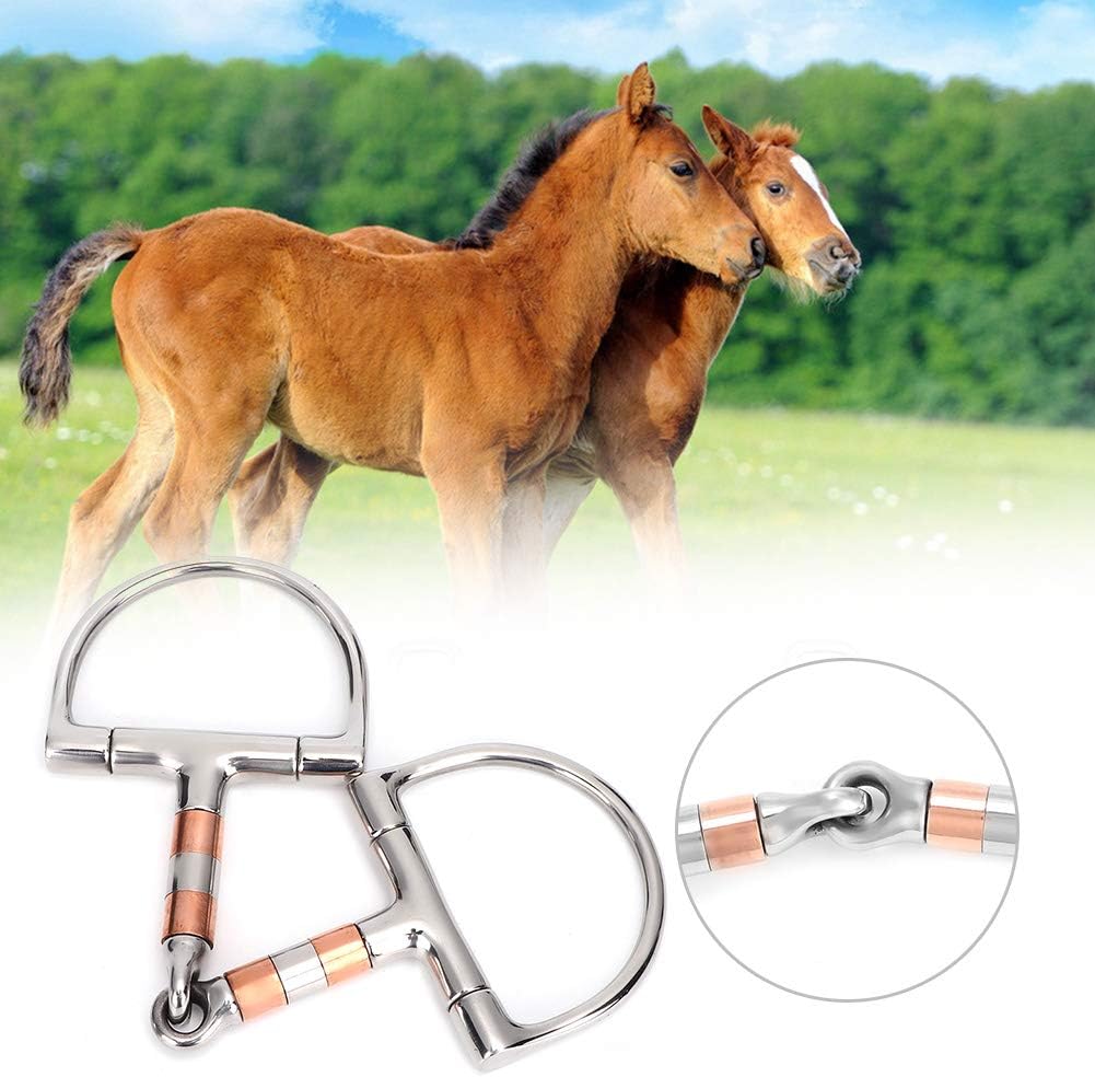 Stainless Steel Horse Snaffle Bit with Copper Rollers, D Ring Single Jointed Mouth Bit for Horses, Comfortable Equestrian Training Tack for Racing Competition Promotes Salivation and Bit Acceptance