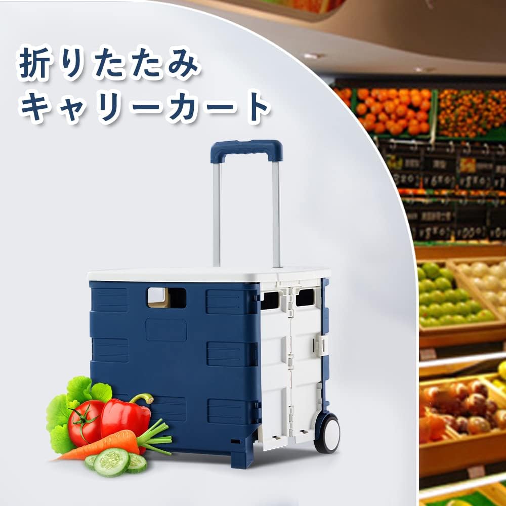キャリーカート 折りたたみ ふた付き ショッピングカート ストッパー付き 360°回転 2/4/8輪 静音キャスター階段昇降 買い物カート アウトドア 耐荷重30KG 45L 軽量 (2輪, 黒＋ブルー)