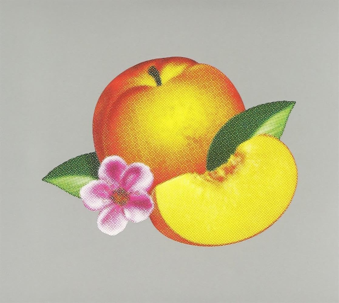 Phoenix - Bankrupt! CD Album - Used