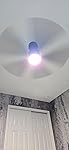 Review Image by Lsgordon78 Lsgordon78