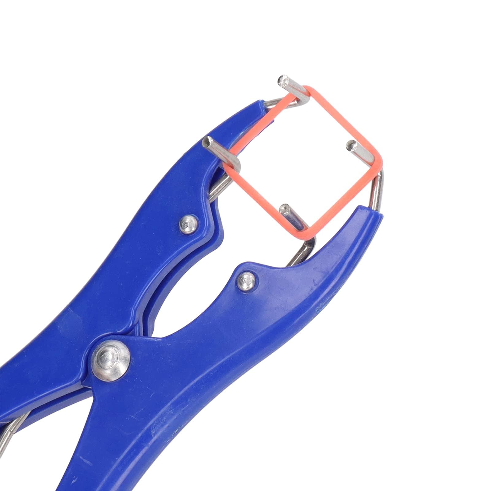 Kit Professionale per Castrazione 1 Pinza Elastrator in Plastica Durevole 100 Anelli Elastici di Gomma Rossa, per Ovini, Caprini e Suinetti Strumento per Allevamento e Uso Veterinario