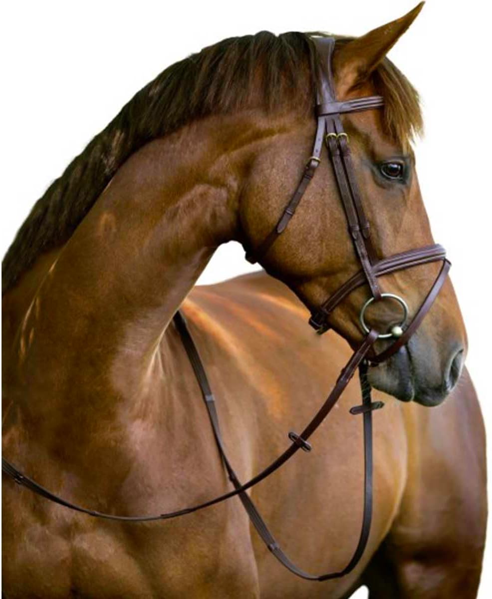 KERBL Classic Bridle