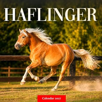 Haflinger Horses Calendar 2027 Equine Portraits and Pasture Scenes