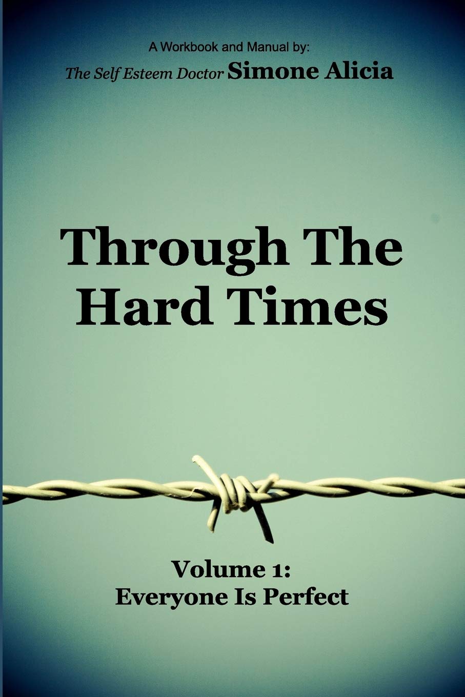 Through the Hard Times: Volume 1: Everyone is Perfect