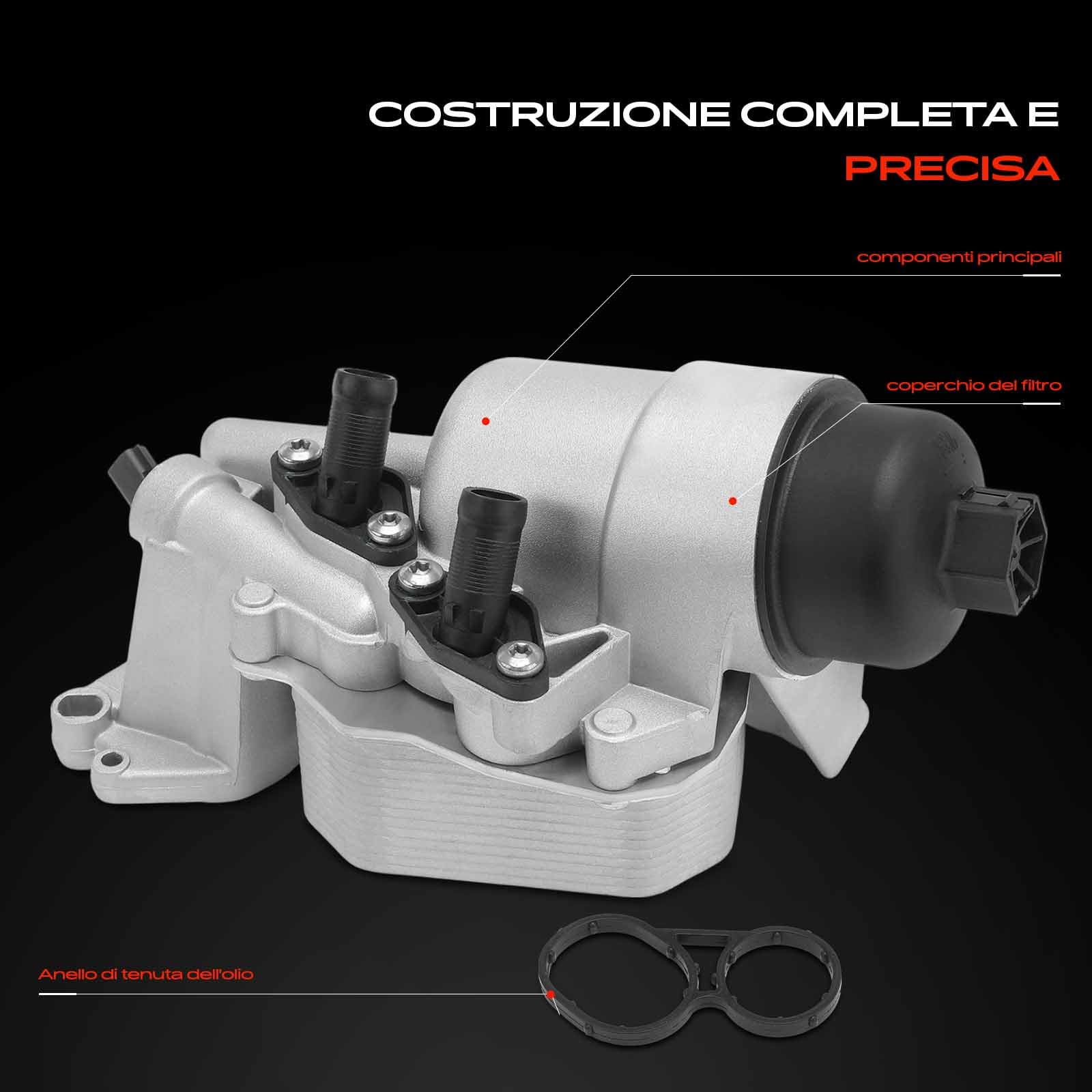 Frankberg Radiatore dell'olio Filtro dell'olio Compatibile con Master II 2.5 D