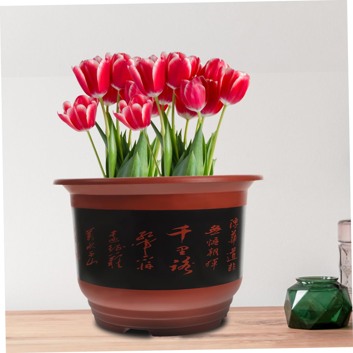 BESTonZON 2pièces Pot pour Orchidées avec Drainage Plastique pour Intérieur Et Extérieur Bac à Eau Inclus