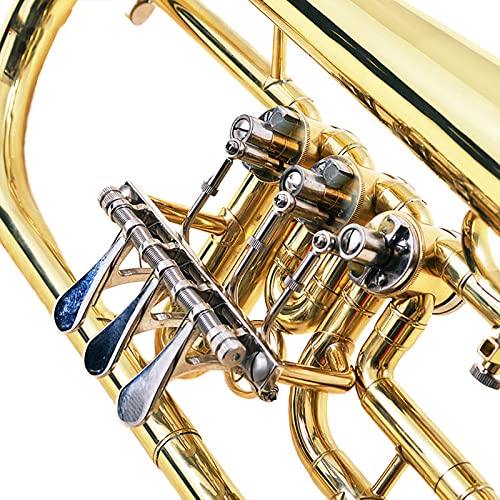 Bb Flat 3 Valve Flugel Horn,Professional Brass Musical Instruments With Free Hard Case, Mouthpiece For Beginner Student #TOP5