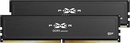 Silicon Power Value Gaming DDR5 32 GB (2 x 16 GB) 6000 MHz (PC5-48000) 288 pines CL30 1.35V UDIMM Memoria RAM de computadora de escritorio con