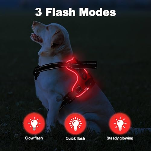 Miniatura 2 de MASBRILL Arnés iluminado para perro, arnés para perro sin tirones, arnés LED recargable con asa ajustable brillante arnés para perros pequeños,