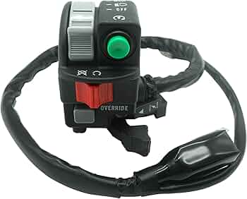 61kSzhmah2L._AC_UF350,