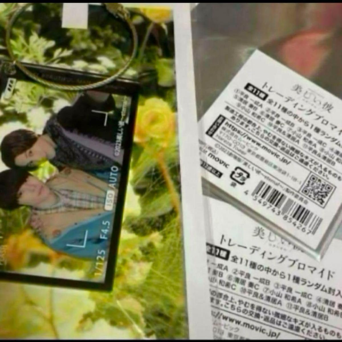 美しい彼 トレーディングブロマイド 美しい彼（ドラマ版） トレーディングブロマイド（全18種