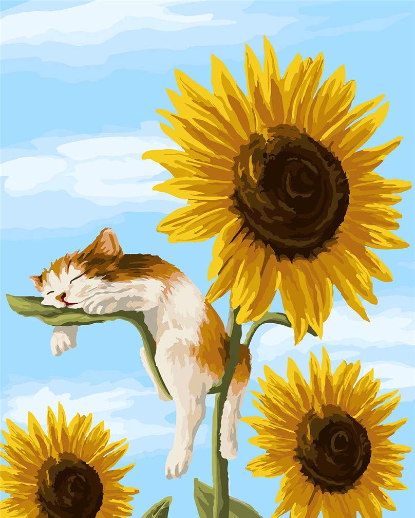 Amiiba DIY Paint by Numbers Kits, Sunflowers and Sleeping Cat 16x20 inch Acrylic Painting by Number Wall Art Crafts (Cat, Without Frame)
