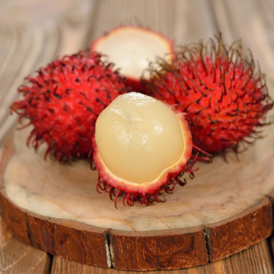 M-Tech Gardens Rare Rambutan (KG10 Hybrid, Bud Grafted) Exotic 1 Live Fruit Plant (B07ZH8GMRY) Amazon Price History, Amazon Price Tracker