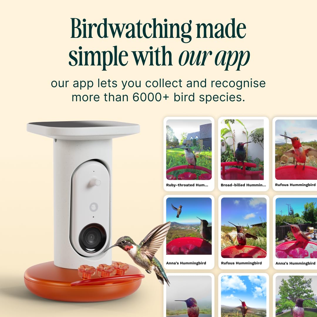 Amazon.co.jp: Birdbuddyスマートソーラープロハチドリ