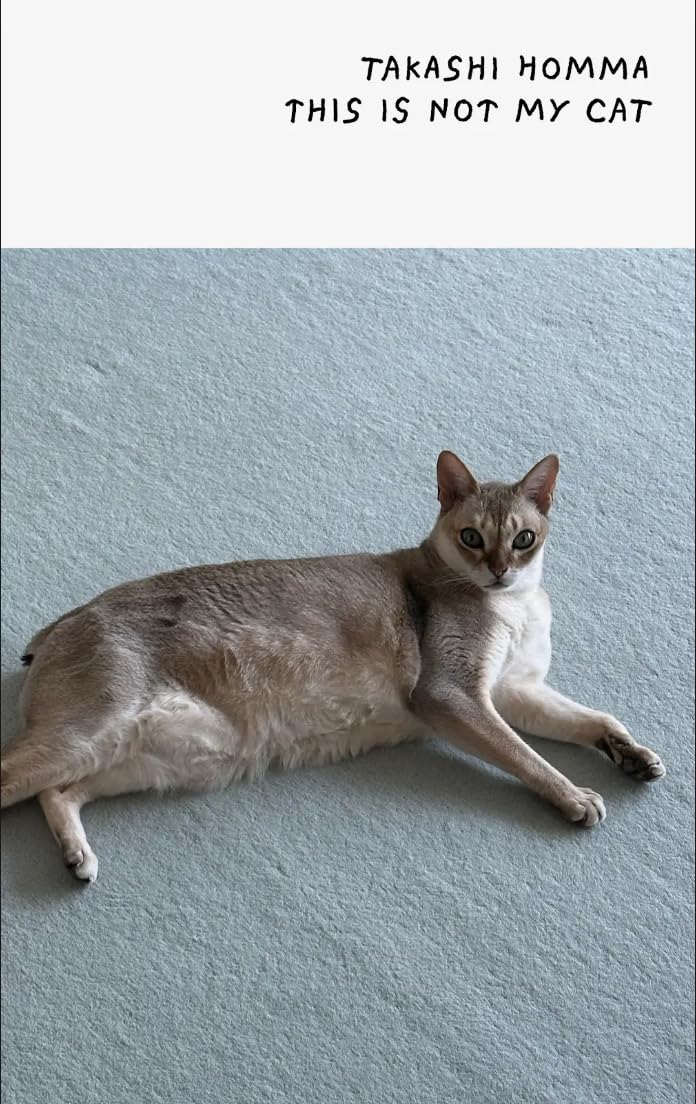 This Is Not My Cat