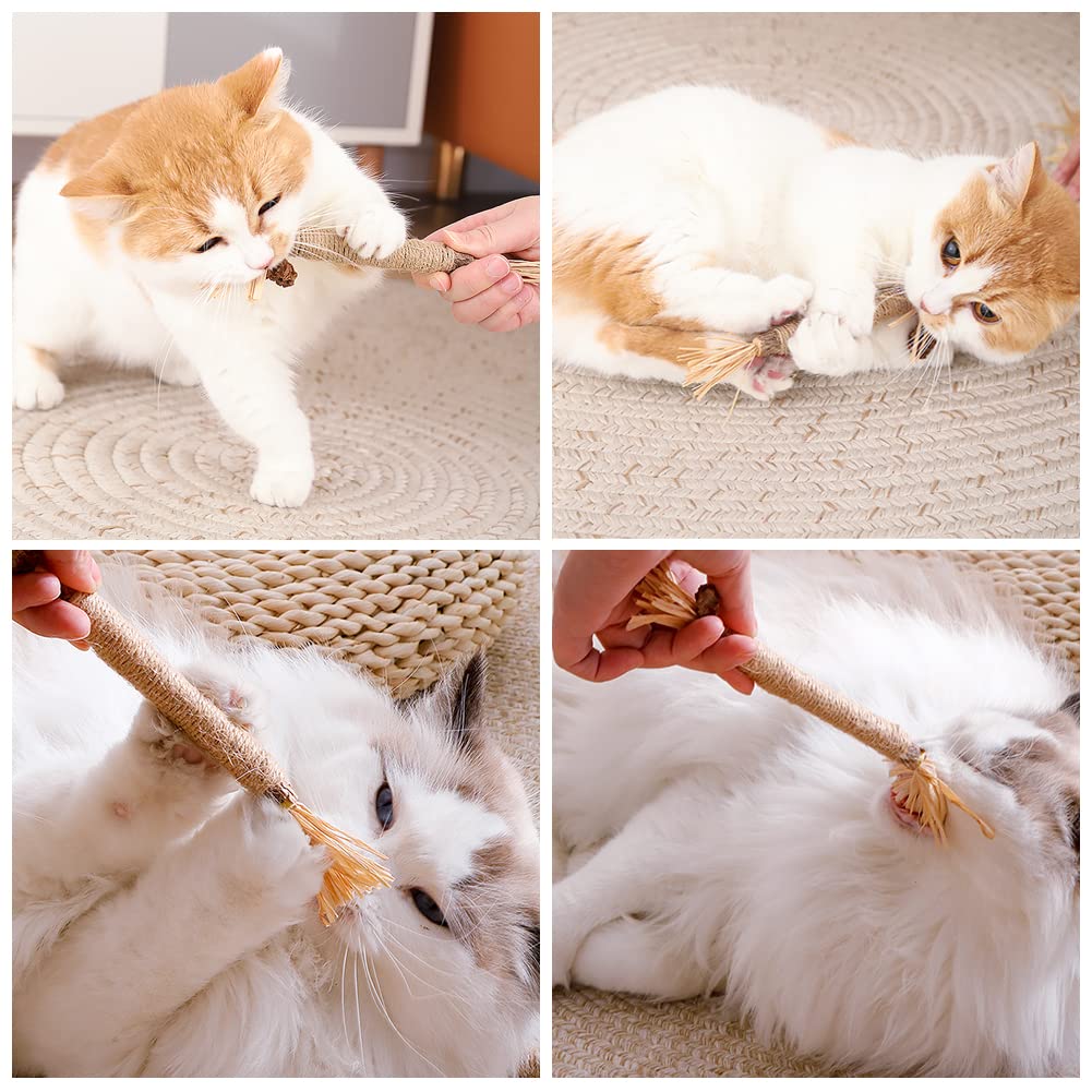 Giocattoli di Erba Gatta, 6 Pezzi Bastoncini da Masticare per Gatti, Naturale Bastoncini Matatabi per Gatti, Denti di Gatto Pulizia Masticare Giocattoli, per Eliminare Alitosi e Tartaro