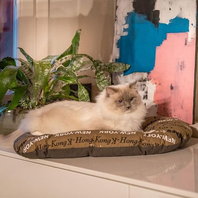 Foto 3 de 7 de Ferplast - Cama para Perros y Gatos - Cojín para Perros pequeños - Colchón para Perros