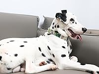 Vista 156 de DOGWONG Collar de perro de San Valentín, collar de perro con estampado de corazones para perros grandes, lindos collares de primavera, hembra